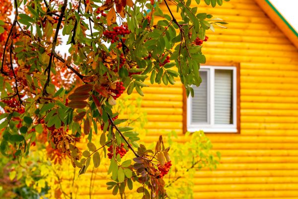 Cost of Garden Window Replacement in Encinitas